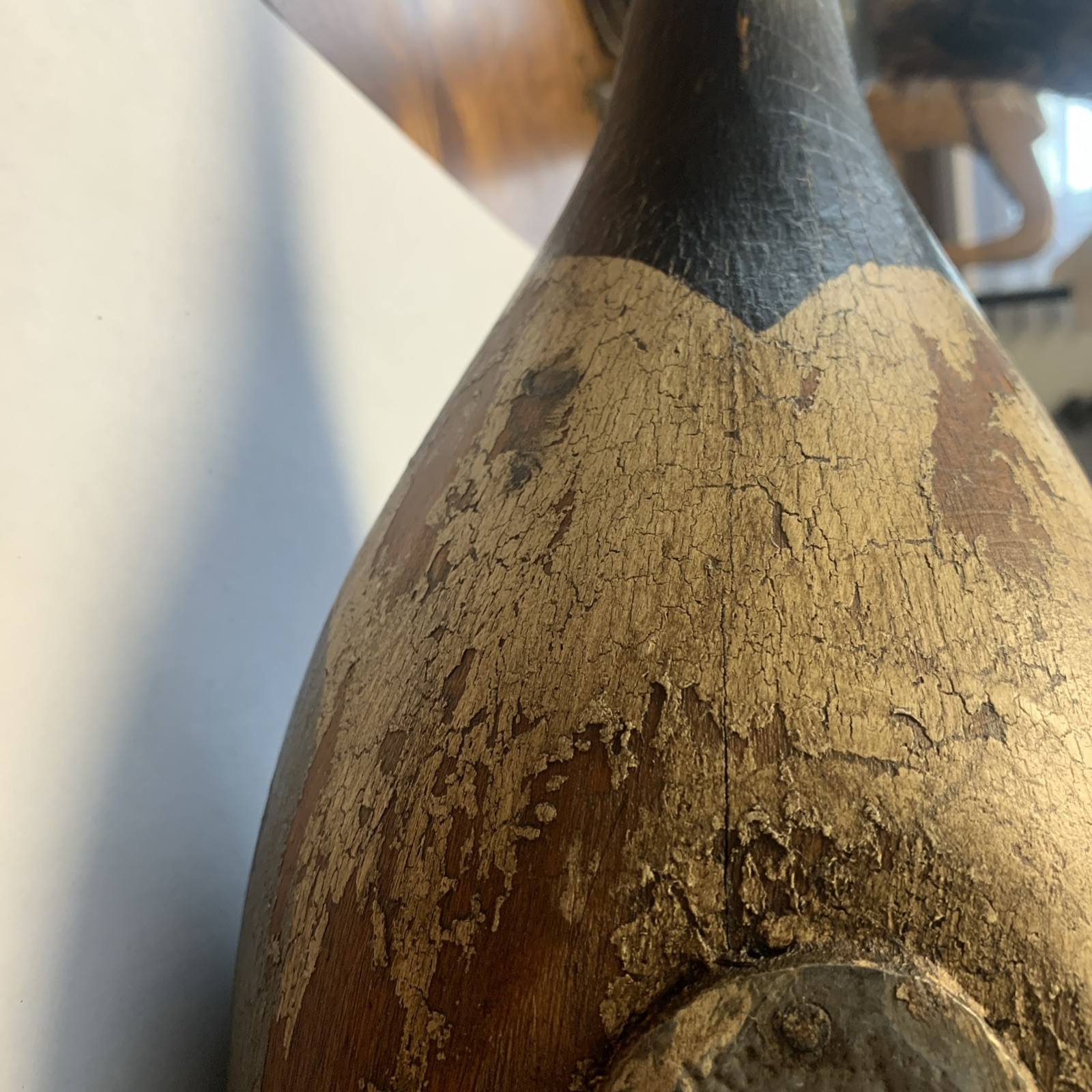 Back Bay,Virginia Pintail Duck Decoy