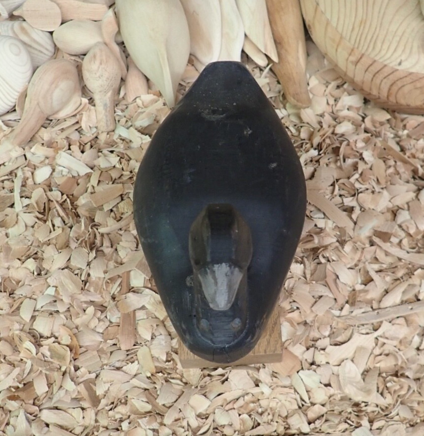 2018 Coot Decoy by Elkton Maryland Carver Joe Racine