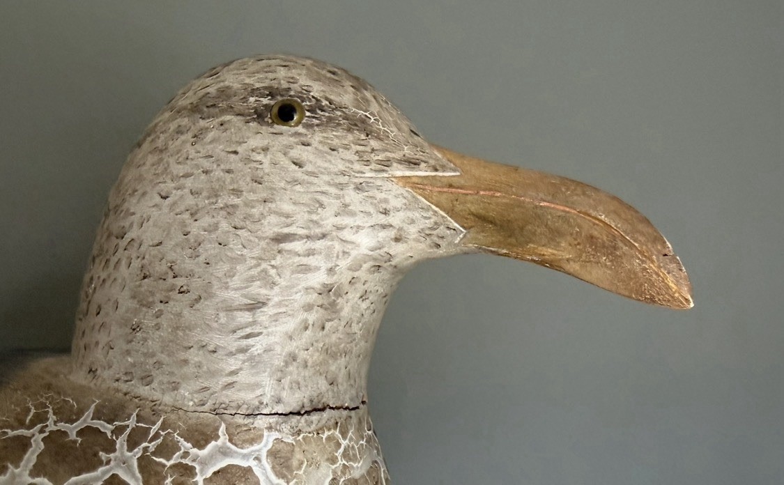 Vintage Cigar Daisey Chincoteague Solid Carved Wood Large Gull Decoy Rare