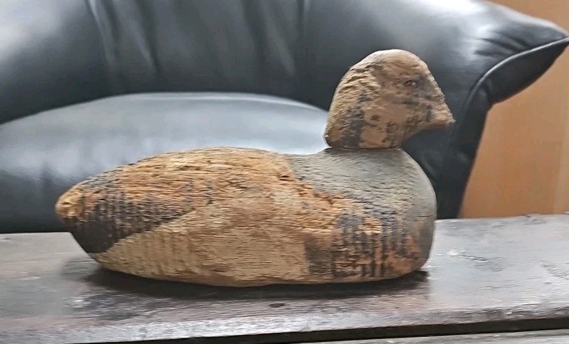 Victor Bluebill Duck Decoy
