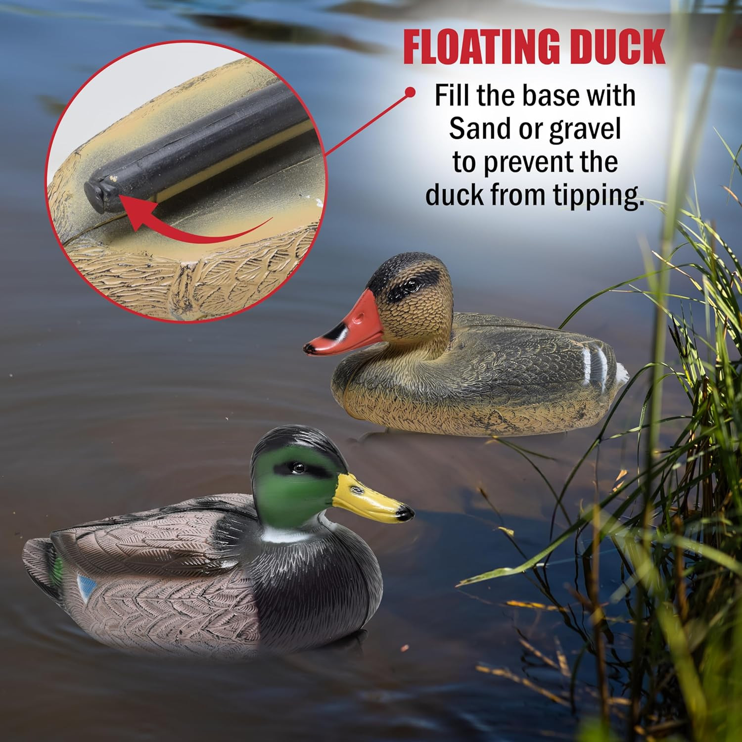 Duck Decoys for Hunting | Floating Duck Decoy for Pool, Pond & Lake
