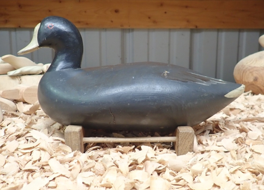 Upper Chesapeake Bay Working Coot Decoy