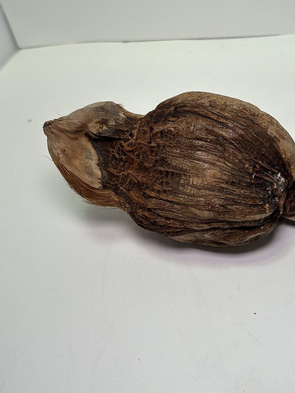 Vintage Hand Made Duck Decoy Sculpture Folk Art Coconut Rare Unique Fast Ship