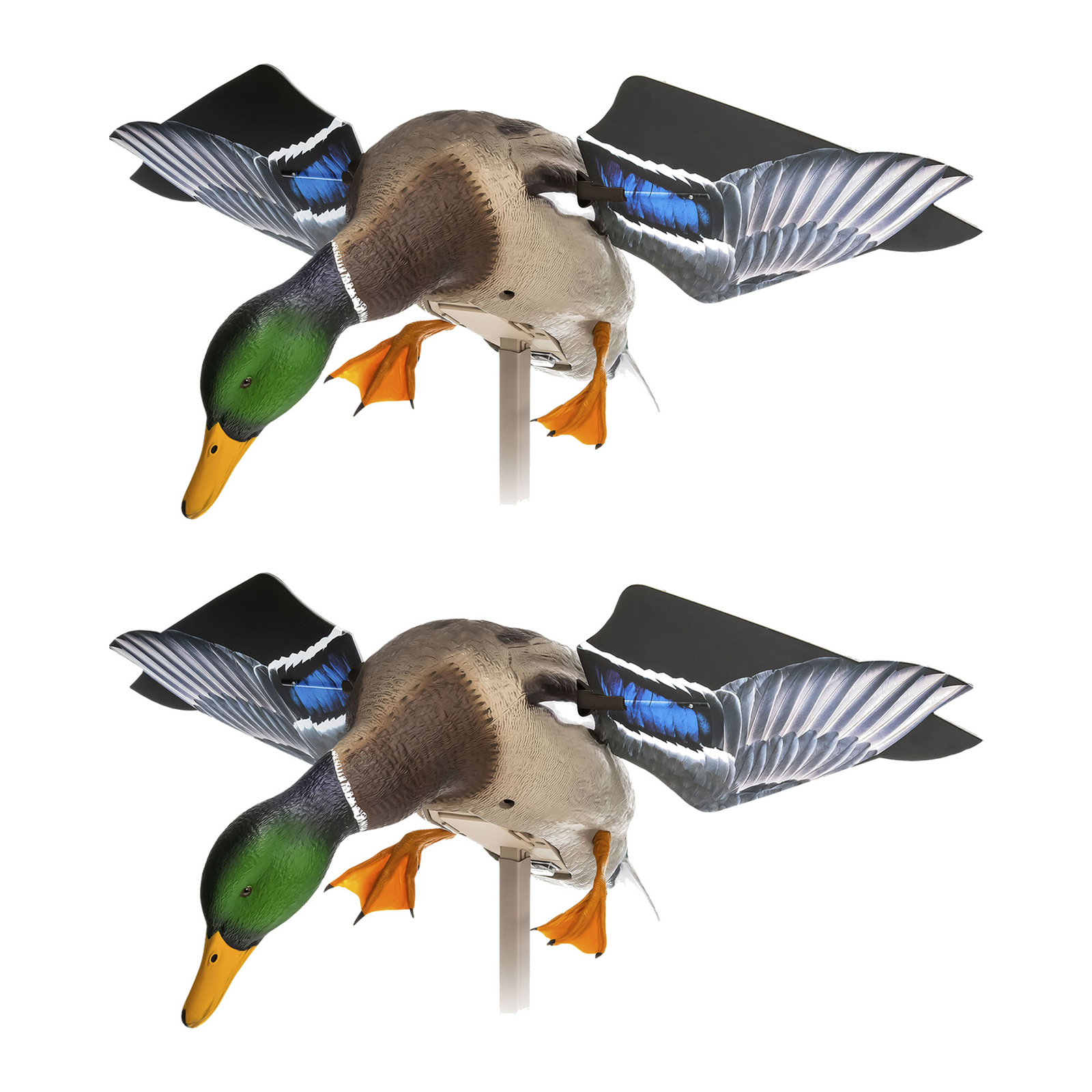 Avian X PowerFlight Mallard Weatherproof Realistic Spin Wing Duck Decoy, 2 Pack