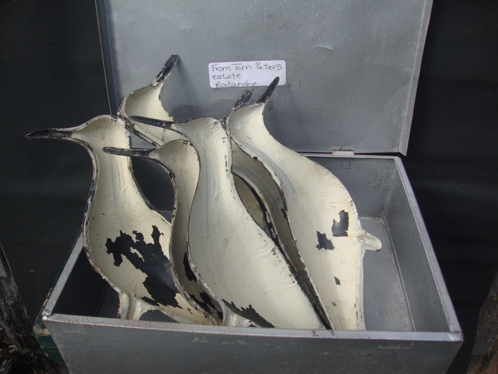 ANTIQUE TINNIE SHOREBIRD DECOYS FACTORY LURES WITH BOX