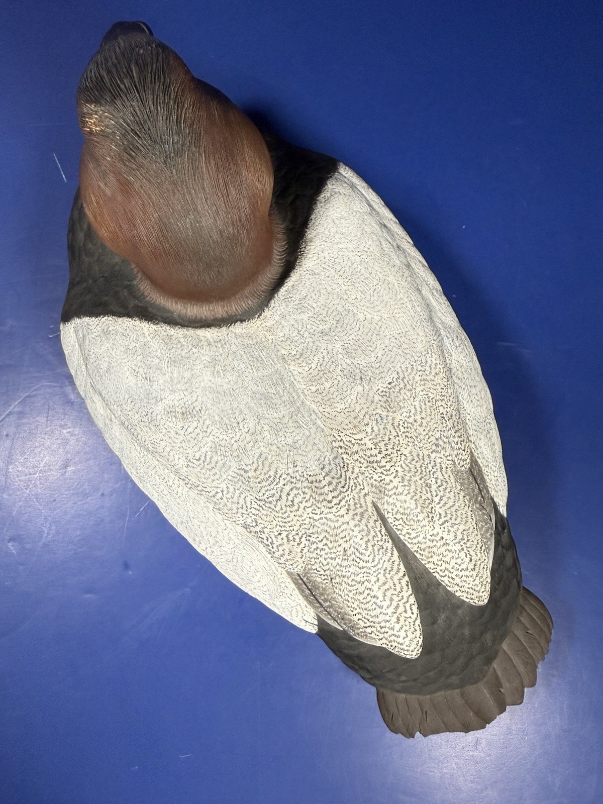 RA Meredith Canvasback Drake Wood Decoy Duck – Signed & Dated 1986 – 11.5” Long