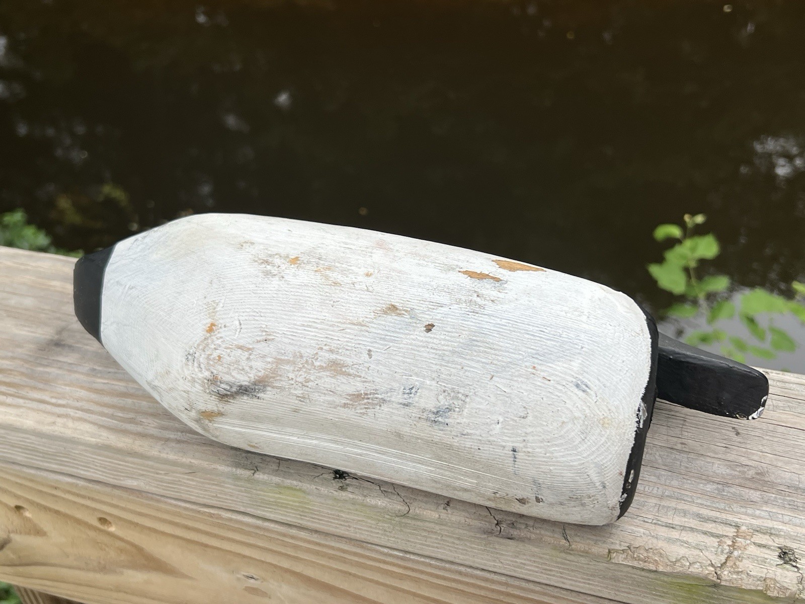 Vintage Chesapeake Bay Canvasback Duck Decoy Eastern Shore Maryland USA