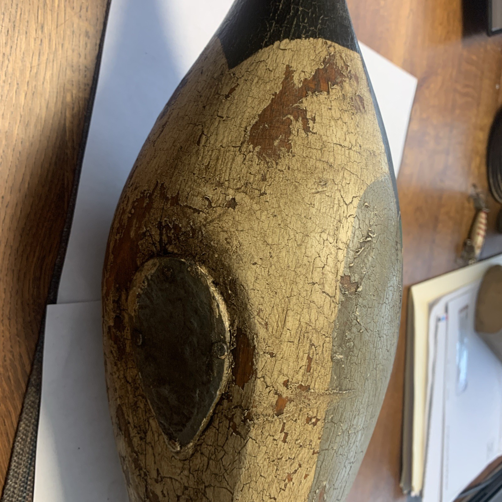 Back Bay,Virginia Pintail Duck Decoy