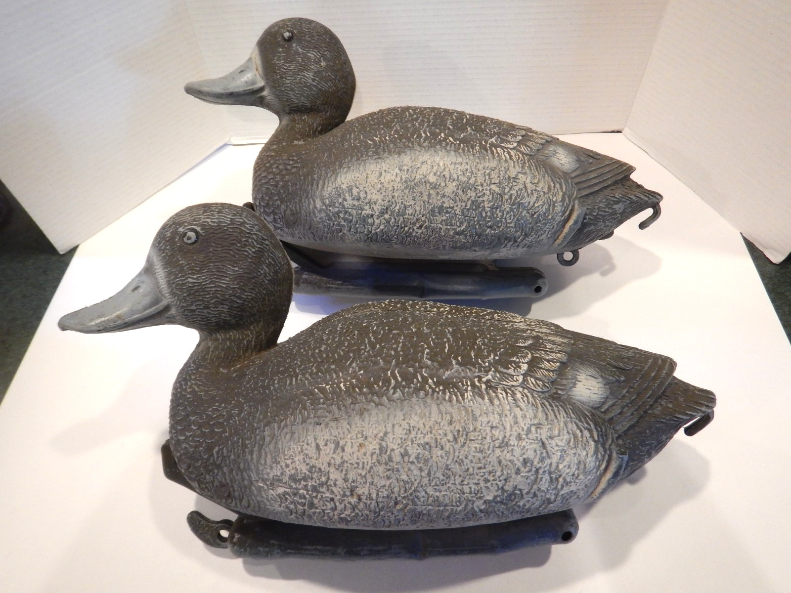 Vintage Sport Plast Bluebill Magnum Decoys Cabin Decor Italy (L28)
