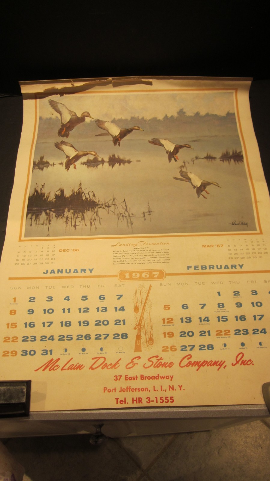 RICHARD BISHOP DUCK GOOSE HUNTING CALENDAR 1967 MC LAIN DOCK PORT JEFFERSON NY