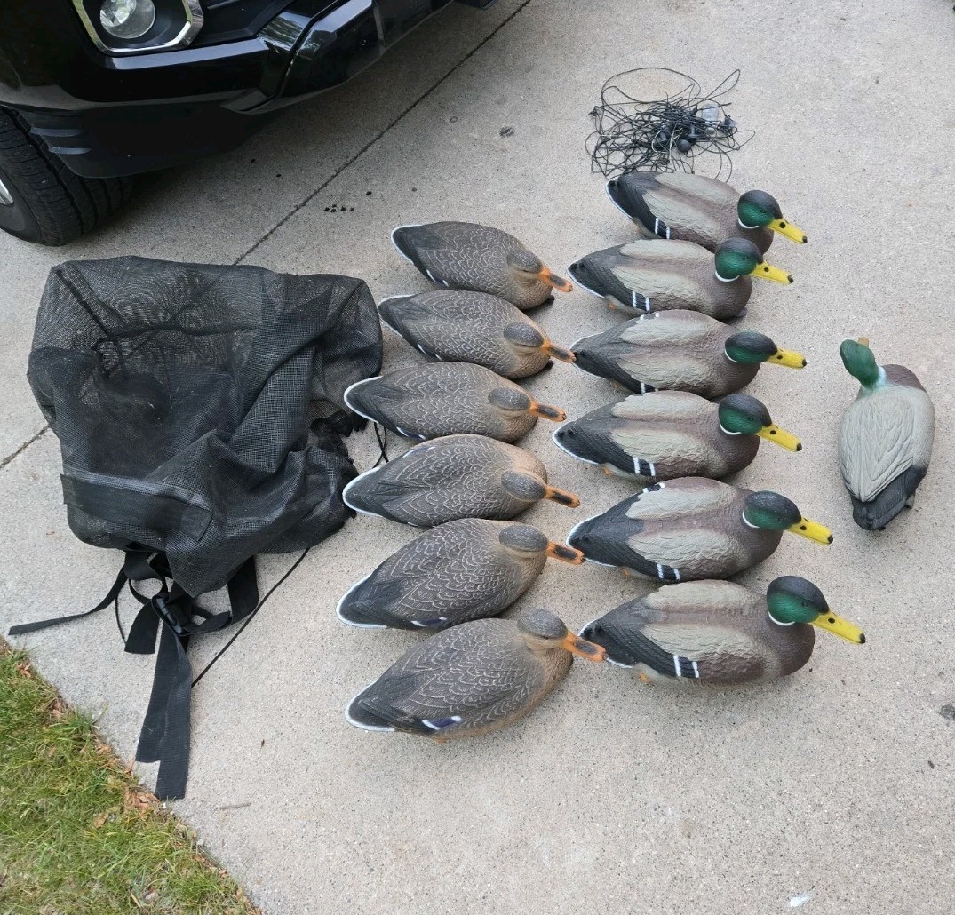 G&H Mallard Duck Decoys Lot of 12 + Flambeau Drake – Rigged w/ Weights Hunting