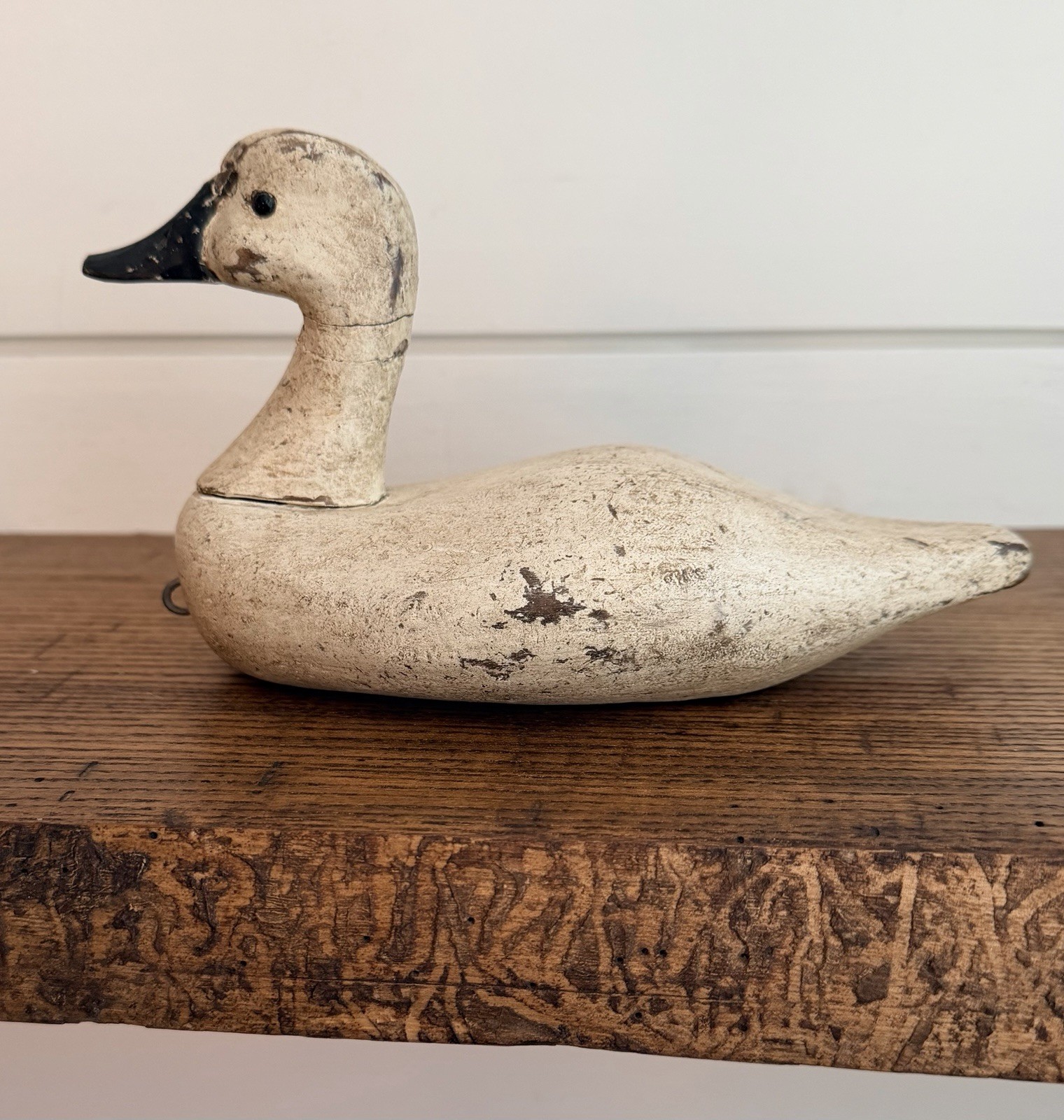 Vtg Back Bay Decoy B.B.D. Small Canvasback-Glass Eyes & Original Paint-Signed