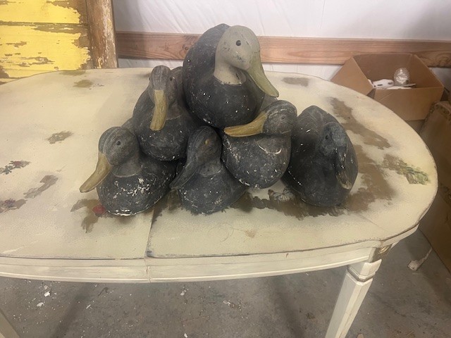 (6) Vintage BLACK DUCKS Model 72 Duck Decoy Drake Hen Duck Decoys VTG RARE