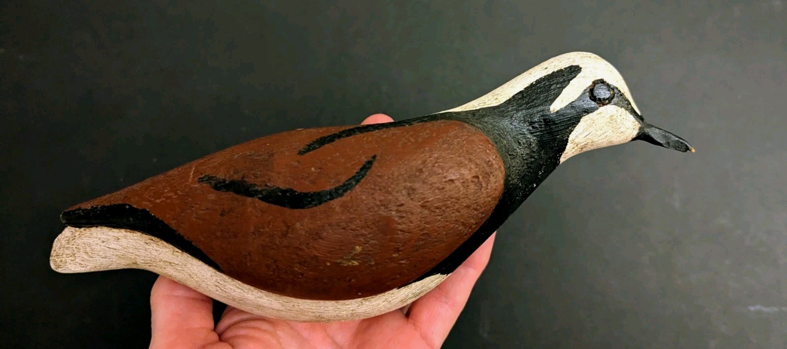 Oriental, NC Ruddy Turnstone Shorebird Decoy Dated 7/86 Split Tail, Carved Eyes