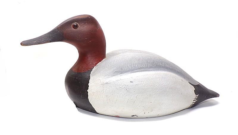 VINTAGE SOLID-BODY CANVASBACK DRAKE DECOY – 15 1/2″ – OLD PAINT – VG COND. (B)