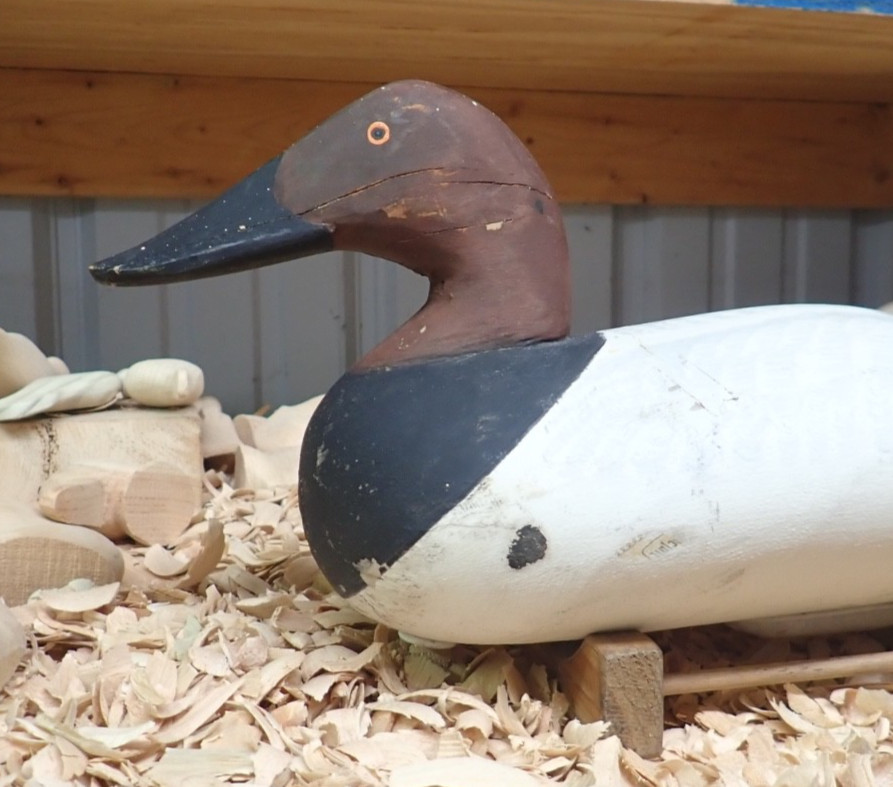 Paul Gibson ( 1902-1984) Working Gunning Canvasback Drake Decoy