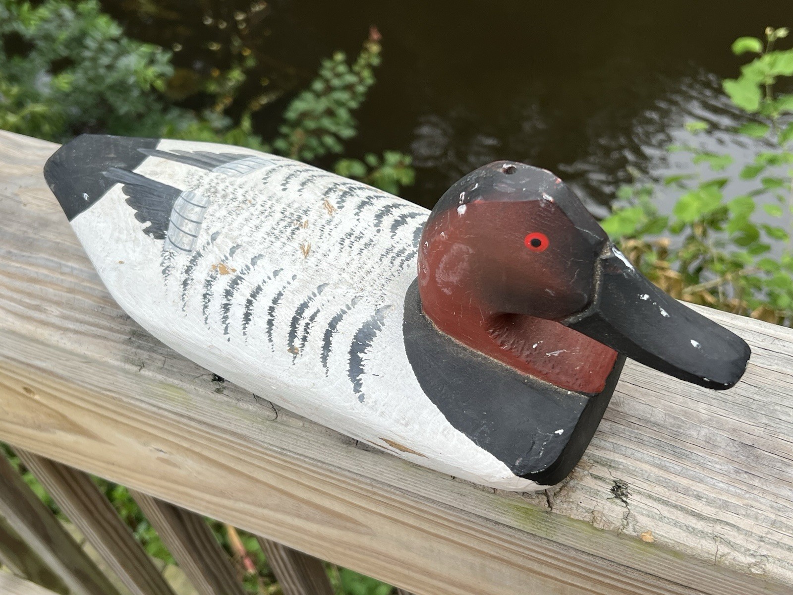 Vintage Chesapeake Bay Canvasback Duck Decoy Eastern Shore Maryland USA
