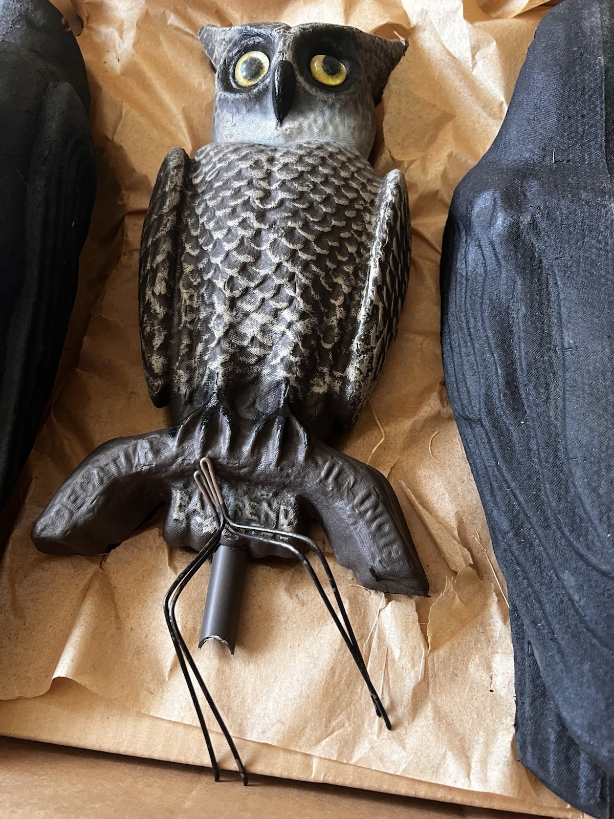 Vtg. Soules Swisher Decatur IL Paper Mache 2 Face Glass Eyes Owl Decoy Crow Kit