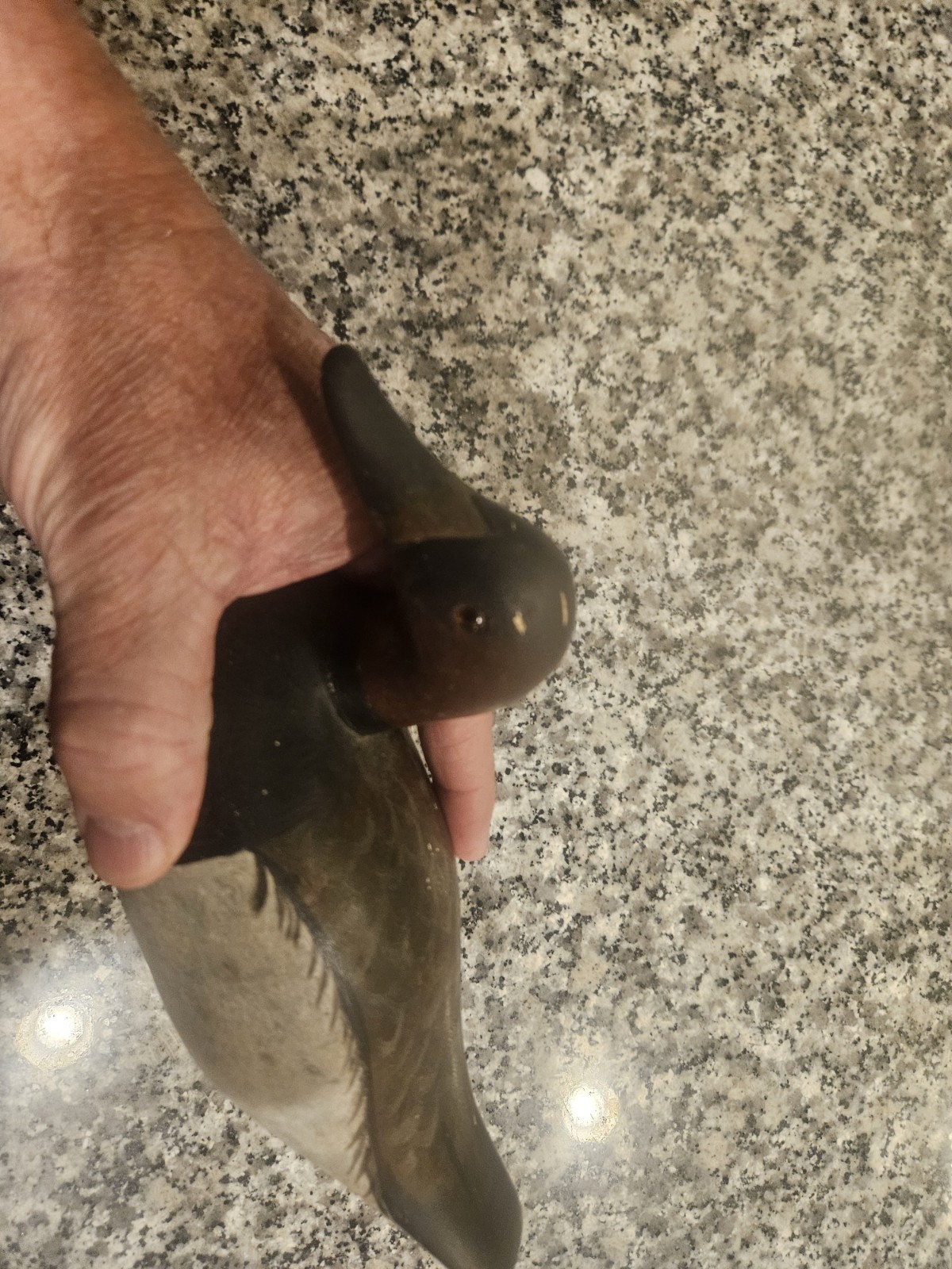 1952 L. Pryor Miniature Maryland Decoy Hand Carved