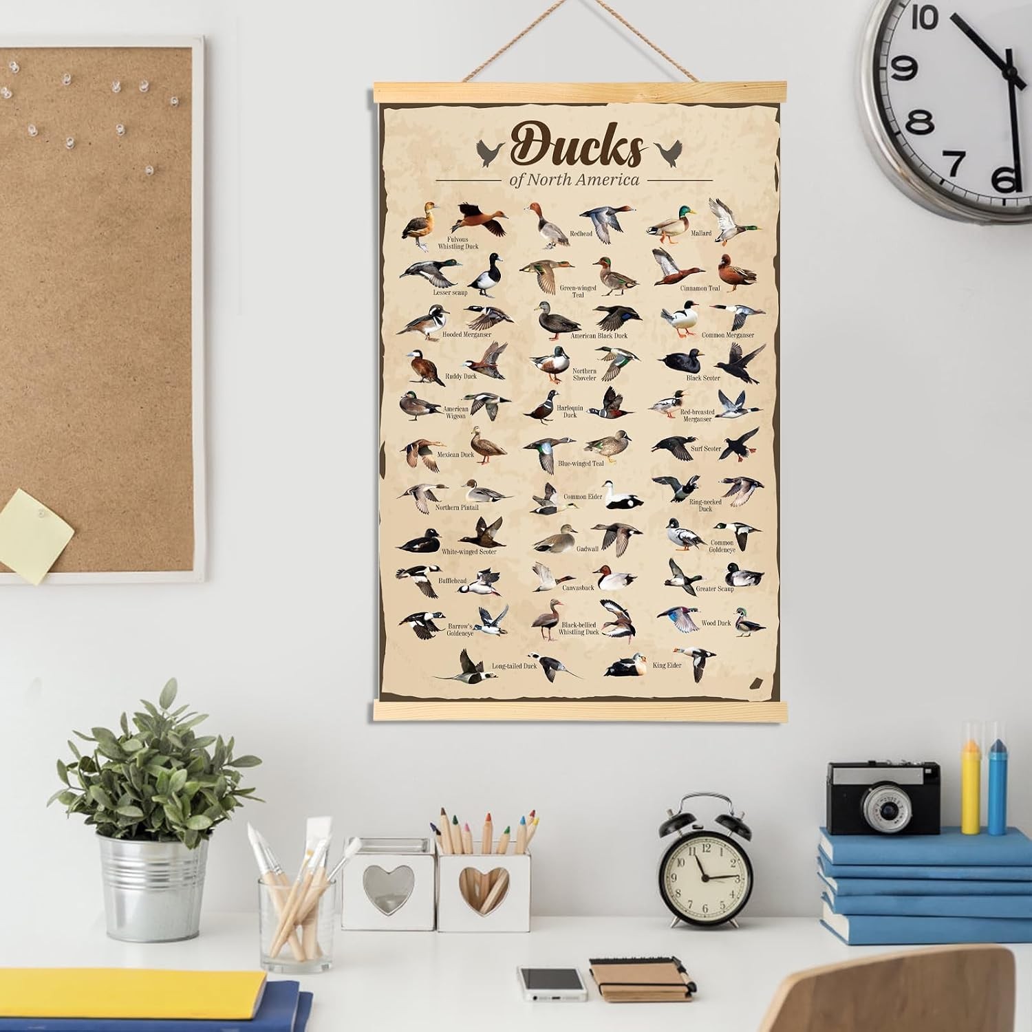 Duck Hunting Gifts for Men Type Of Duck Poster Duck Hunting Decor Mallard Ducks