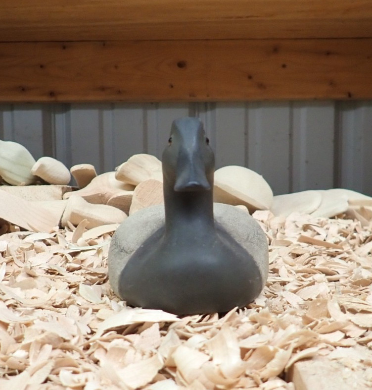 2017 Canvasback Hen Decoy by Rick Moretz of Havre de Grace MD