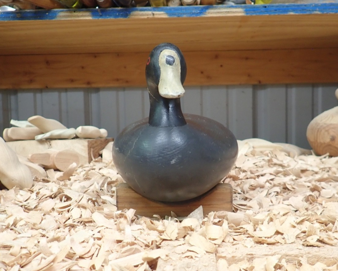 Upper Chesapeake Bay Working Coot Decoy