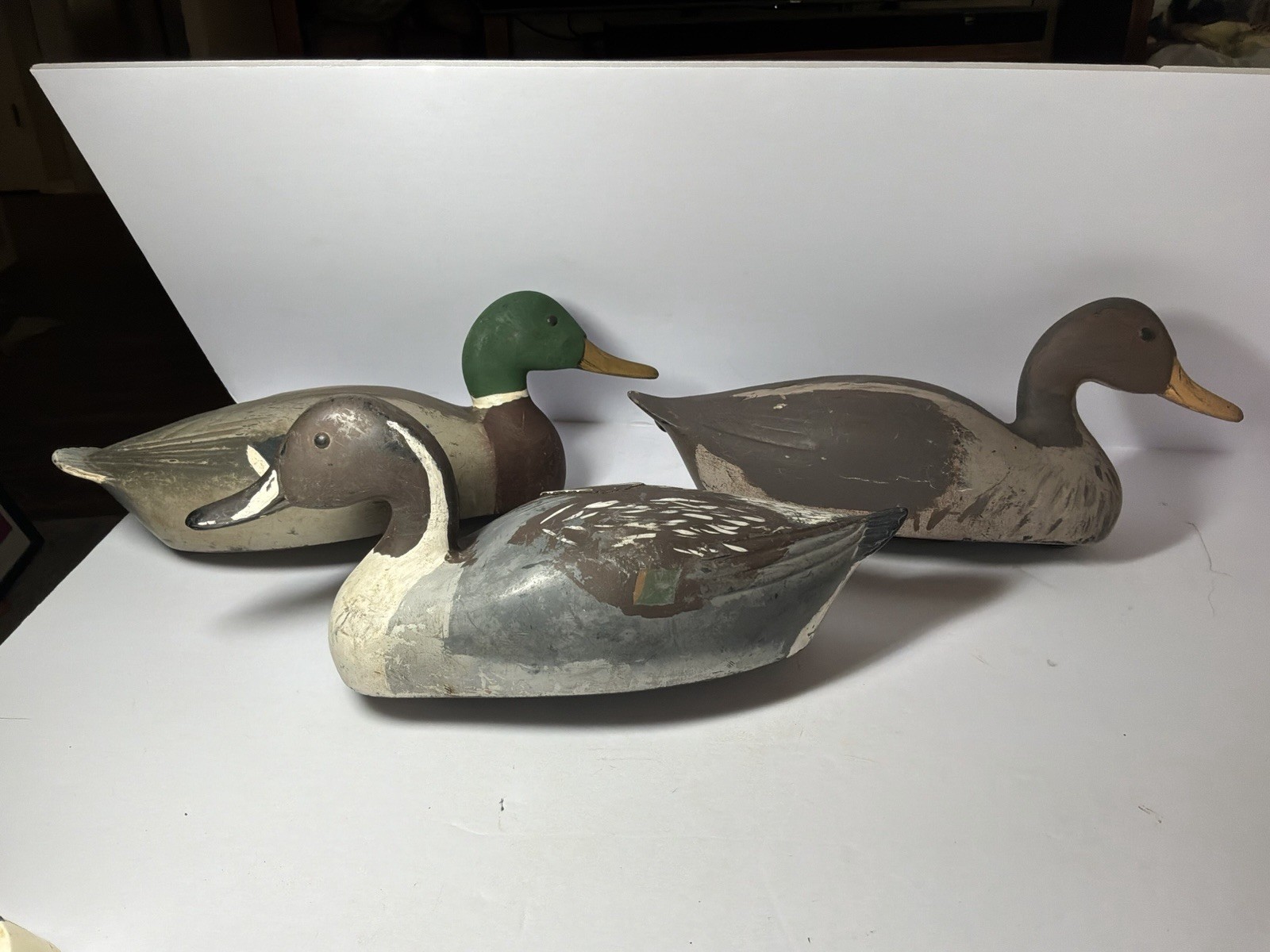 1960’s “Animal Trap Company Of America” “Victor D-9”- 3 Lot- Mallard And Pintail