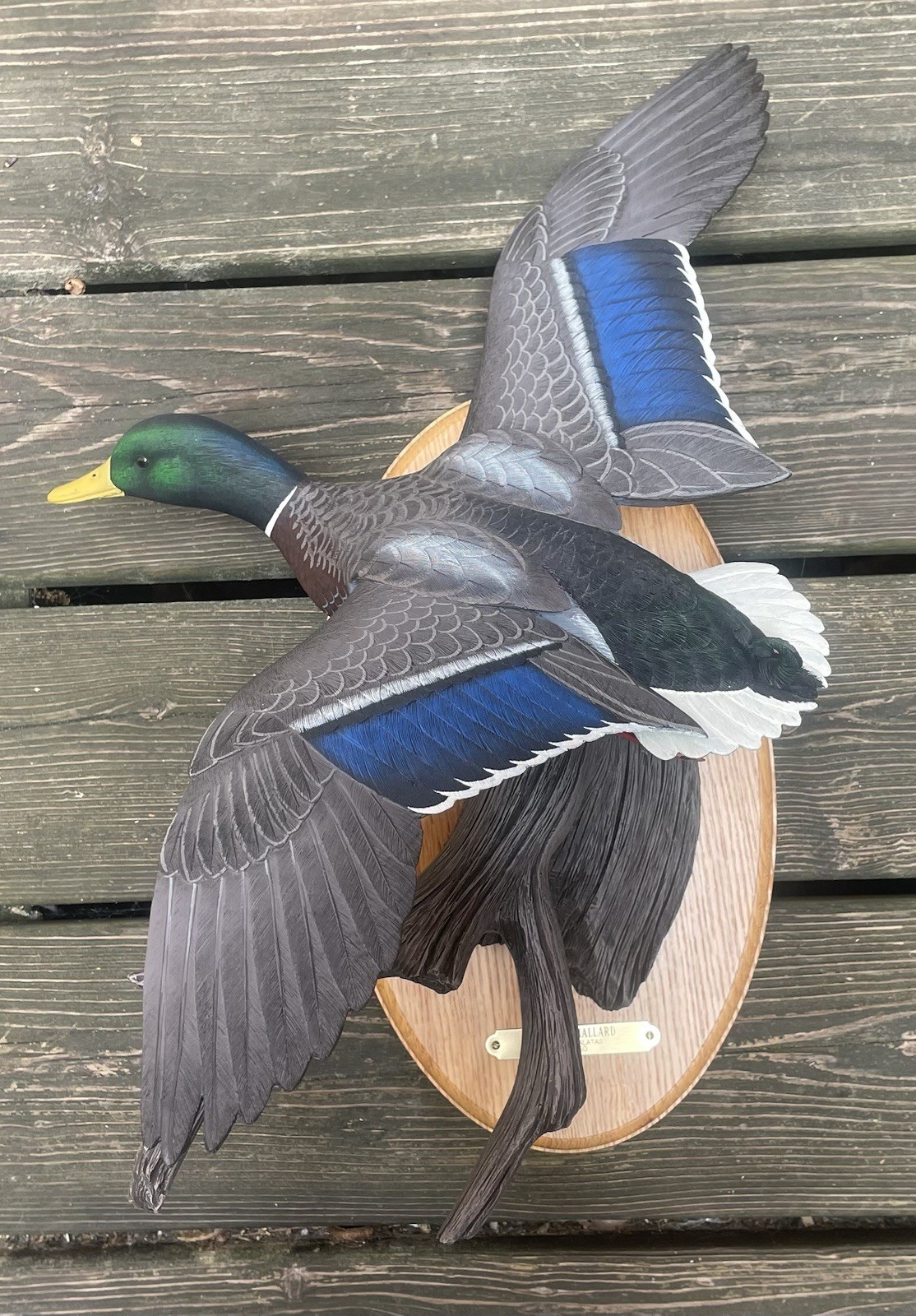 Duck Treetop Mallard Limited 50/450 By Philip J. Galatas Wall Mount