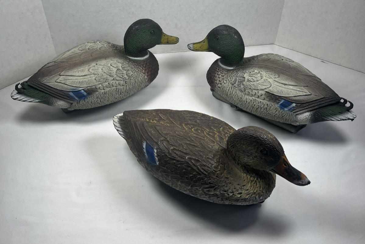 Lot of 3 Sport Plast Mallard Drake Hen Duck Decoys Made In Italy 15″ W/ Weights