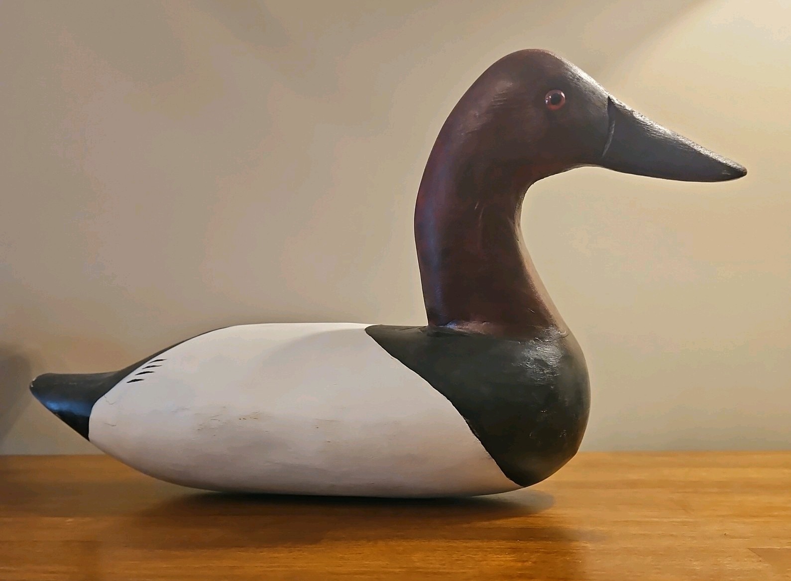CANVASBACK DUCK DECOY DRAKE, High Neck Solid Wood Glass Eyes. Stand not included