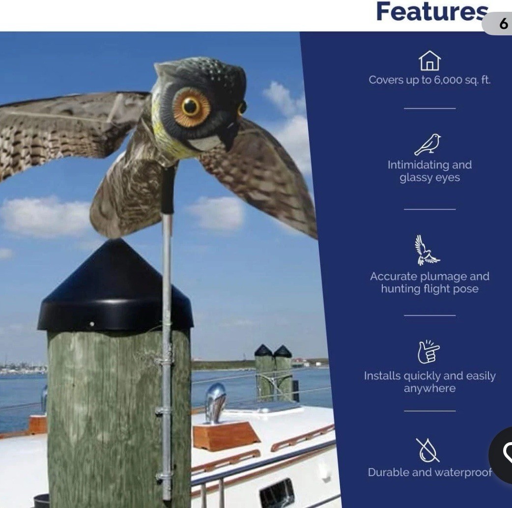 Durable Black Bird Pest Control Decoy with Moving Wings, Covers 6,000 sq. ft.