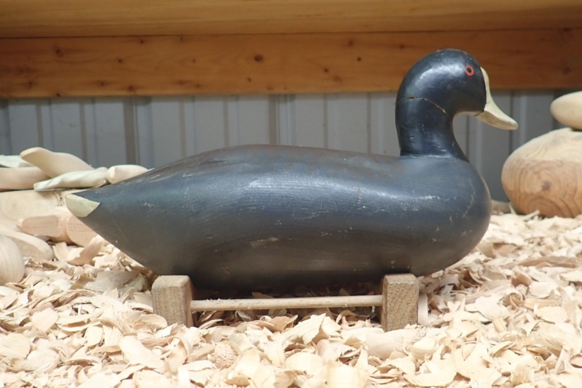 Upper Chesapeake Bay Working Coot Decoy