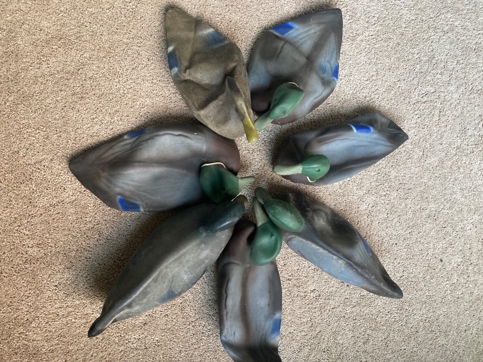 Vintage rubber mallard and drake duck decoys (7) 1948 excellent condition 