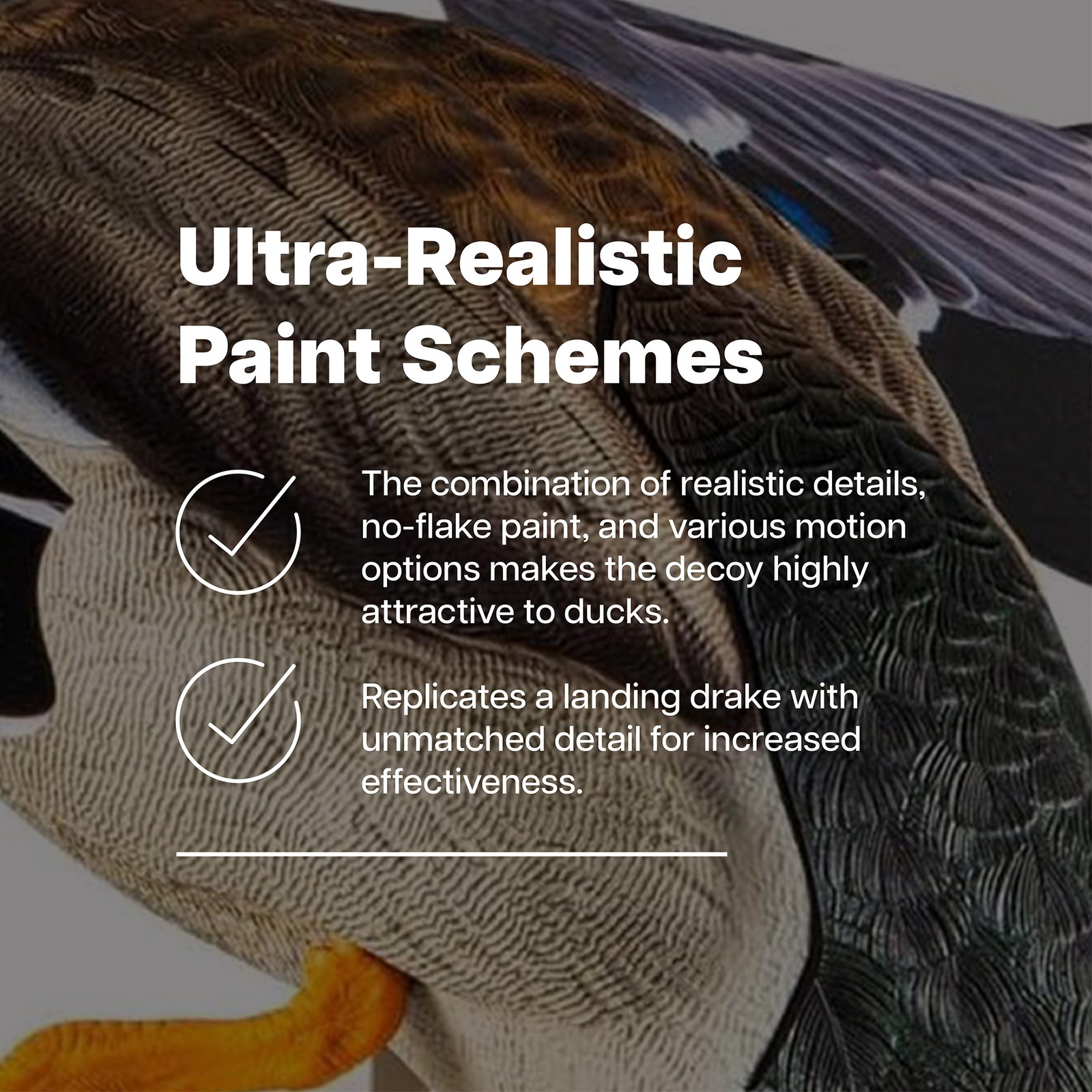 Avian X PowerFlight Mallard Weatherproof Realistic Spin Wing Duck Decoy, 2 Pack
