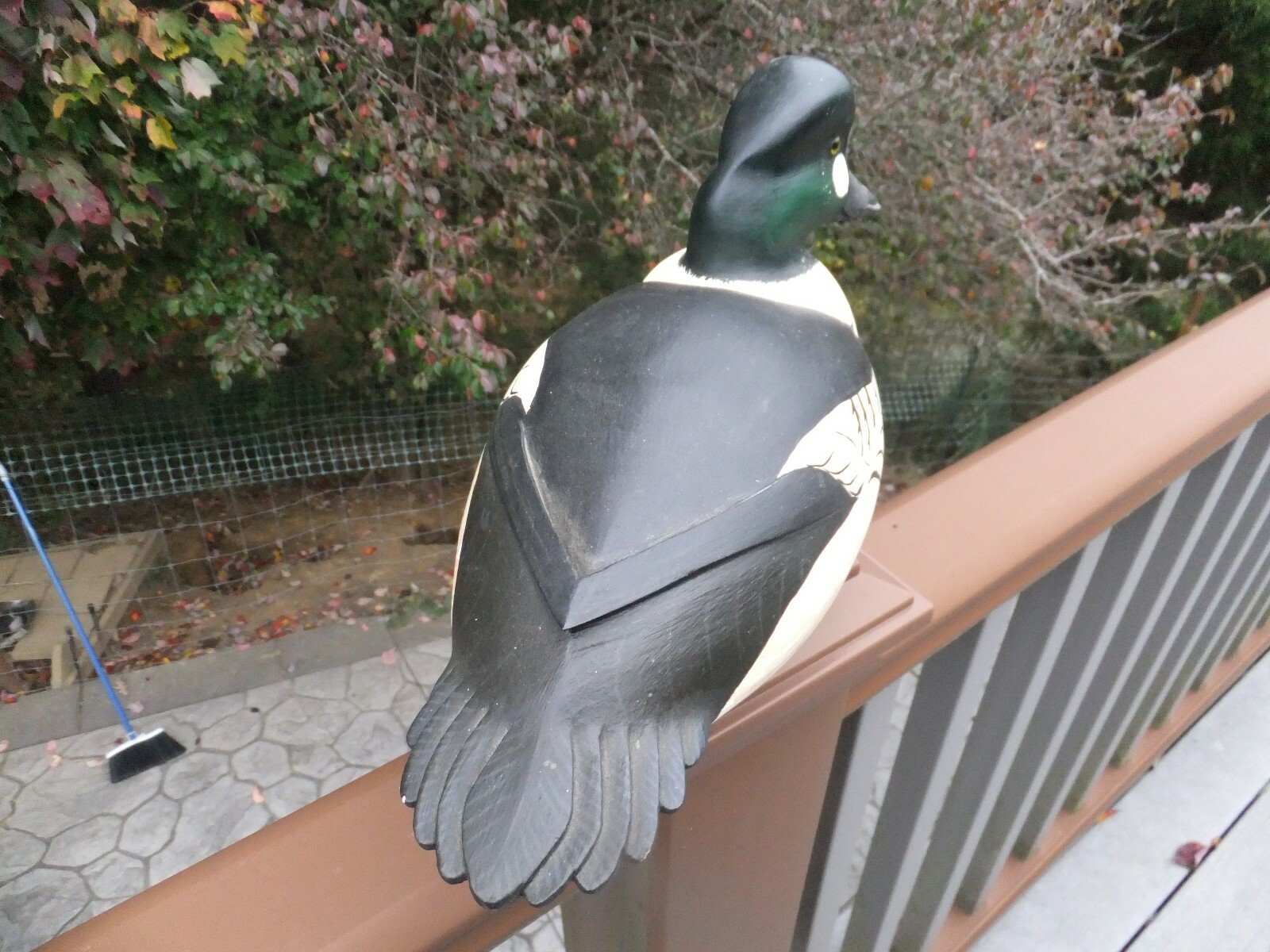 show winner M Johnson- Prime  Decoys – Common Goldeneye Drake – New Jersey style