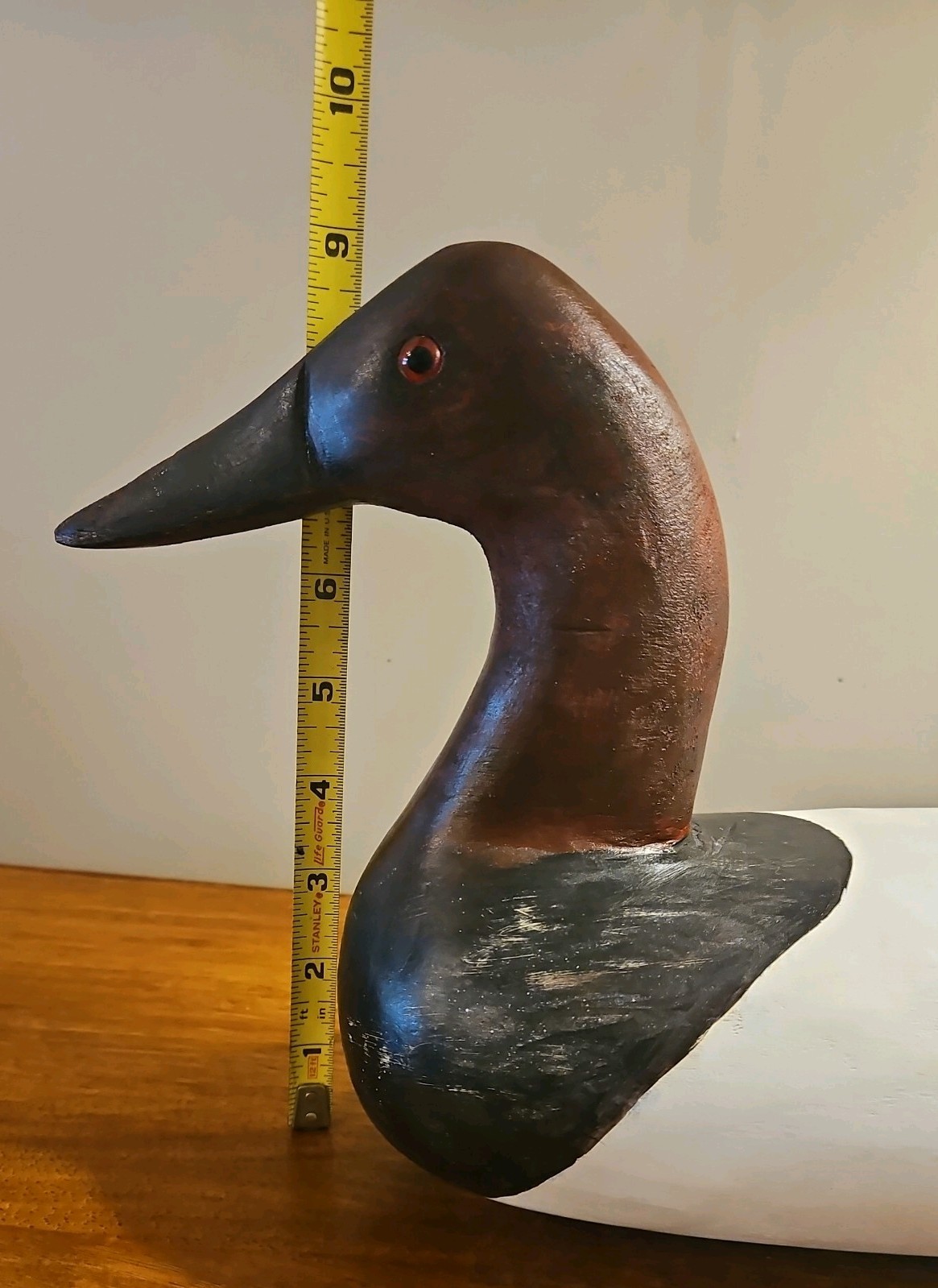 CANVASBACK DUCK DECOY DRAKE, High Neck Solid Wood Glass Eyes. Stand not included