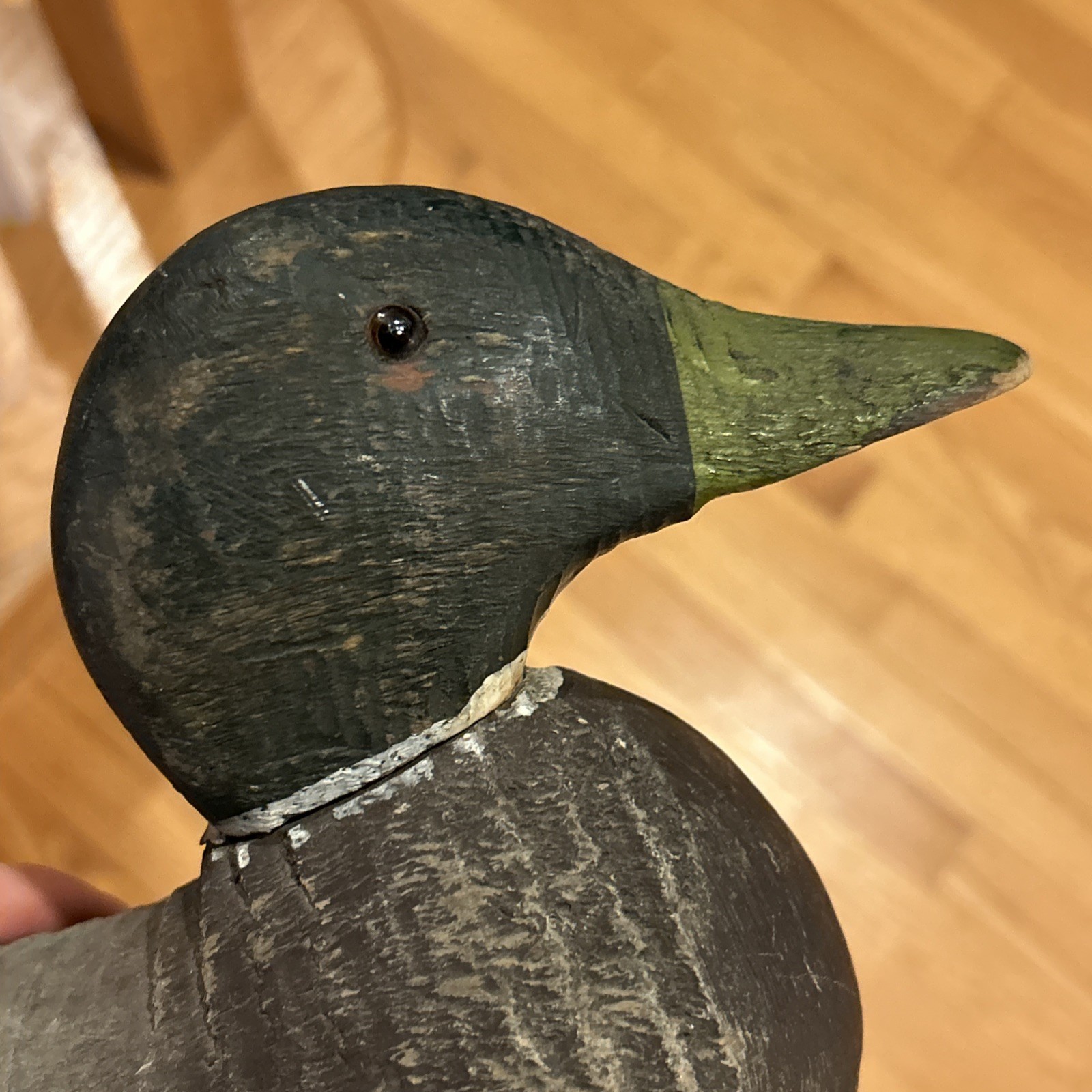 Animal Trap Victor Duck Decoy Factory Bird Duck decoy Glass eyes Vintage