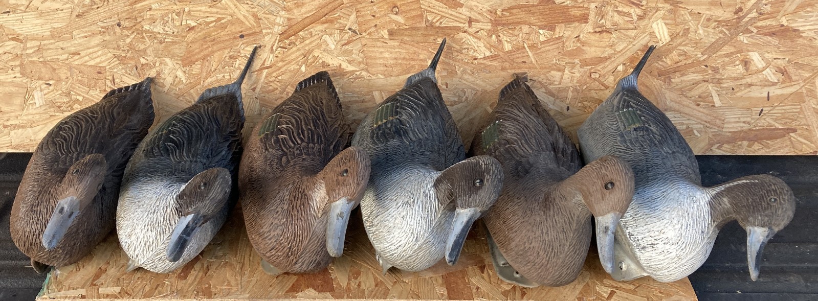 Vintage NEUMANN-BENNETT Plasti-Duk Textured PINTAIL Inflatable Decoys Lot Of 5