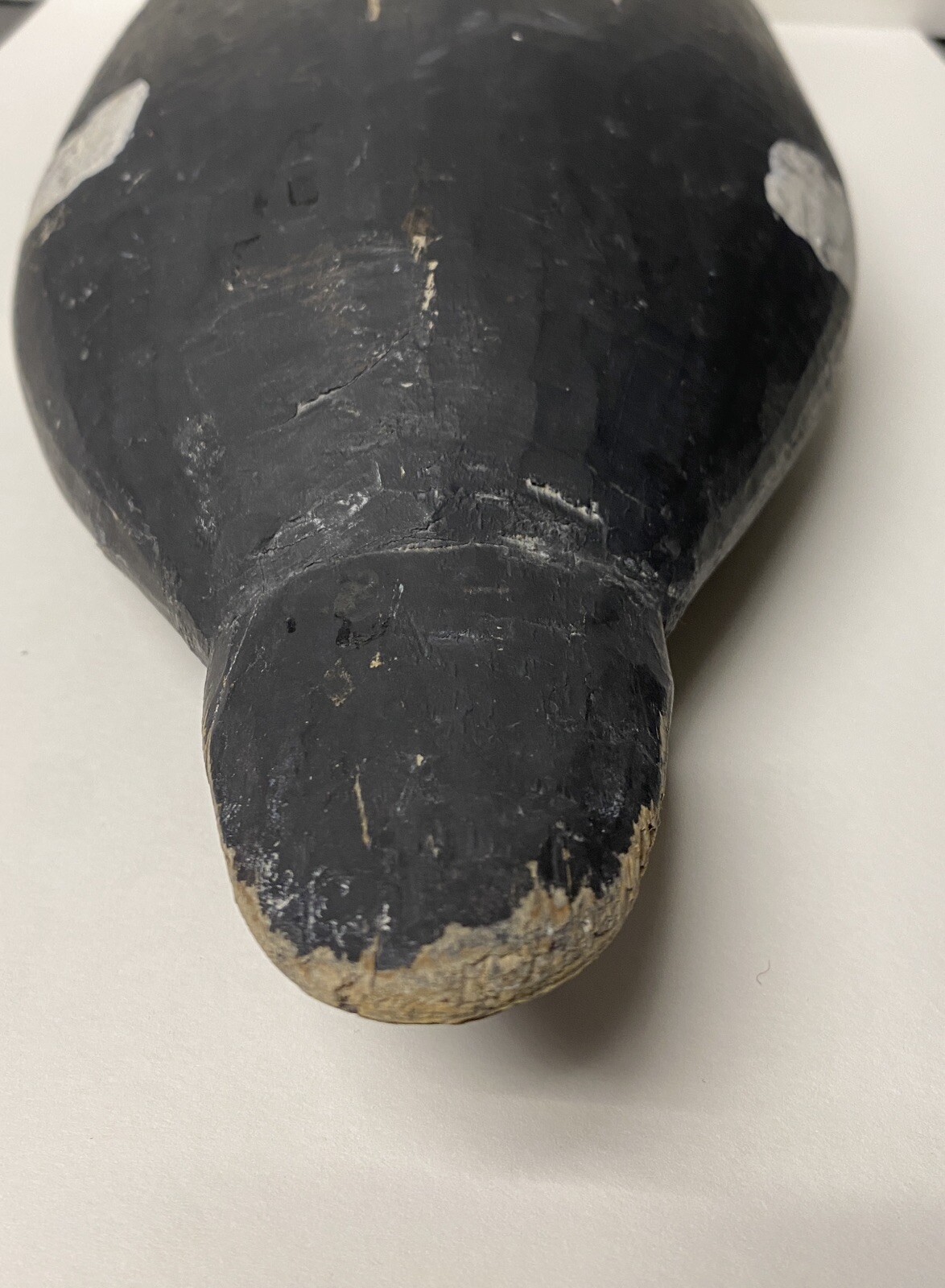 White-winged Scoter Duck Decoy, Vintage, Wood, Nailed in Head Set, Unsigned