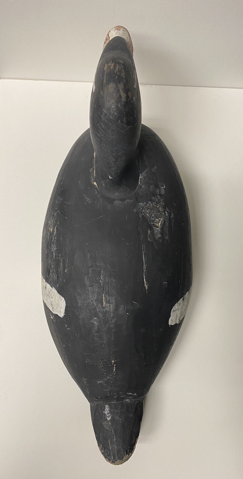 White-winged Scoter Duck Decoy, Vintage, Wood, Nailed in Head Set, Unsigned