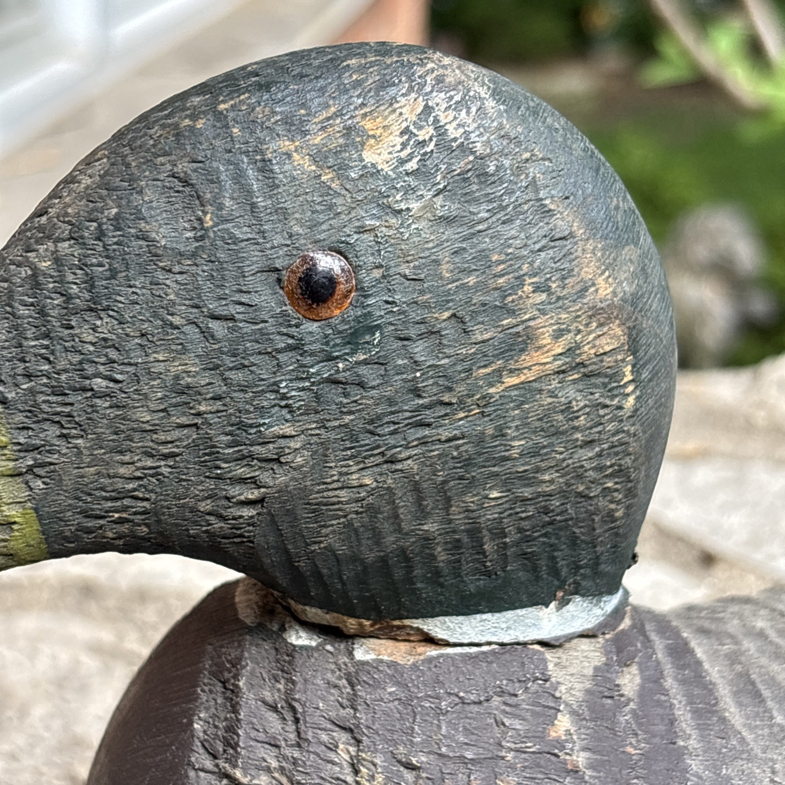 Animal Trap Victor Duck Decoy Factory Bird Duck decoy Glass eyes Vintage