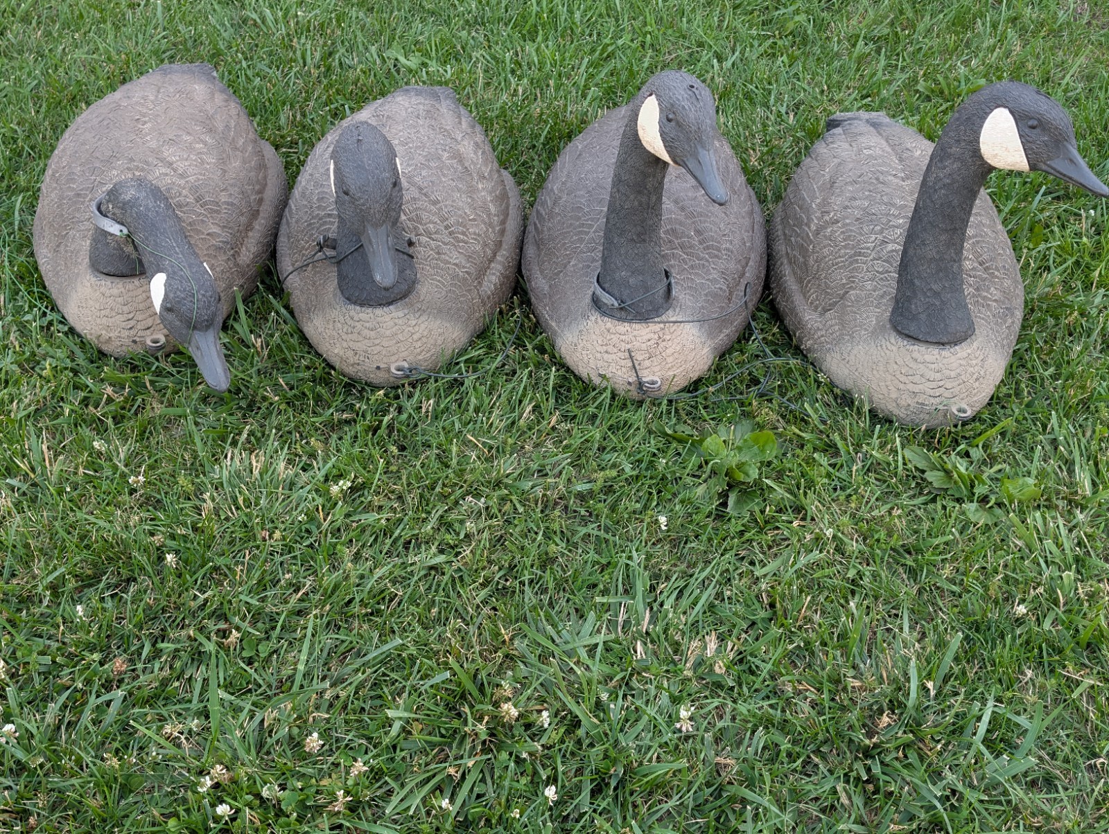 Vintage Canada Goose Decoy Lot 4 Made In Italy Sport Plast Carry Lite Hunting
