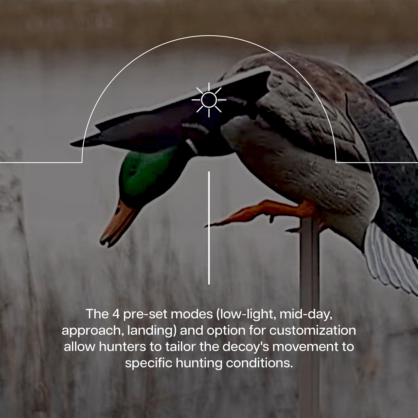 Avian X PowerFlight Mallard Weatherproof Realistic Spin Wing Duck Decoy, 2 Pack