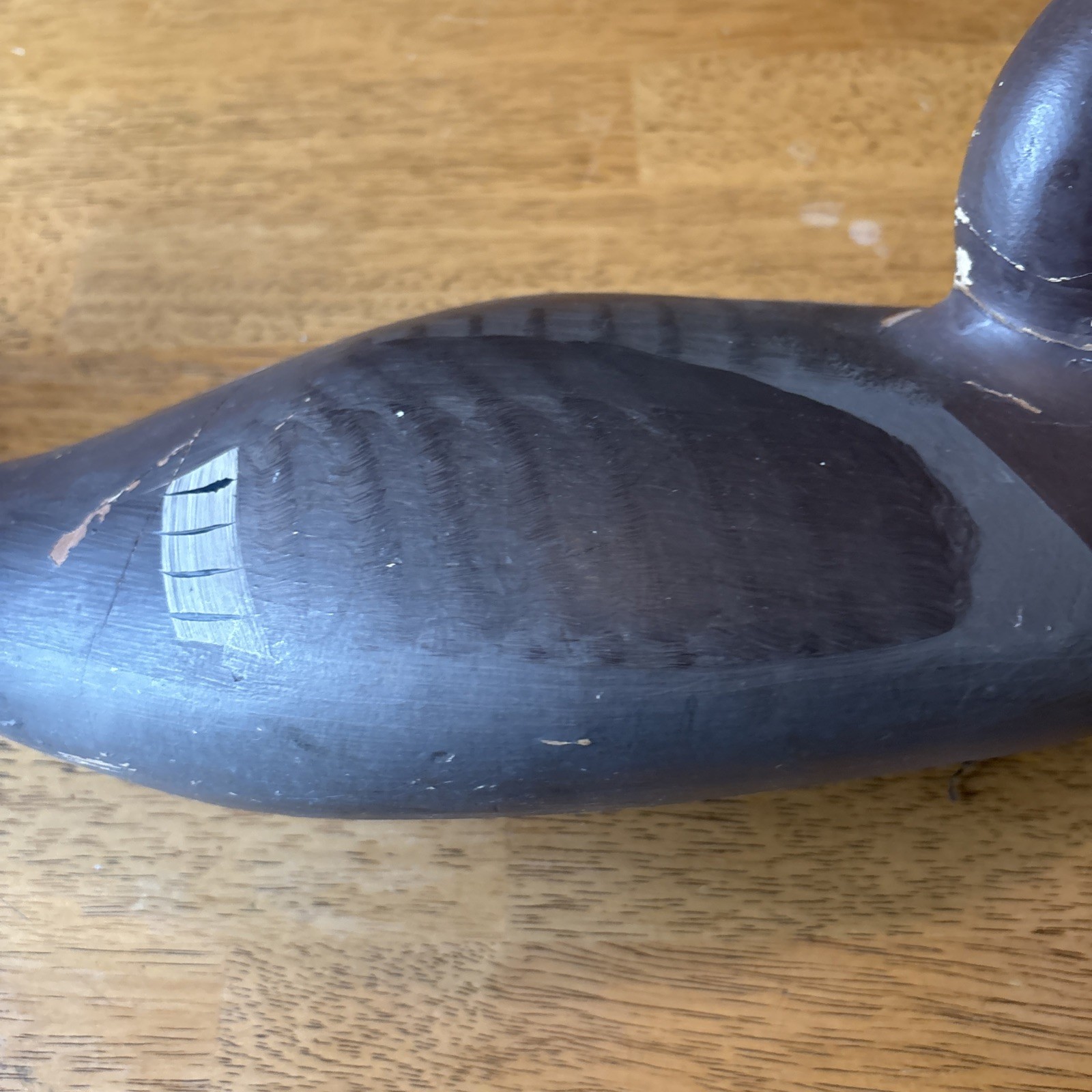 Canvasback Hen Duck Decoy Unsigned 17”