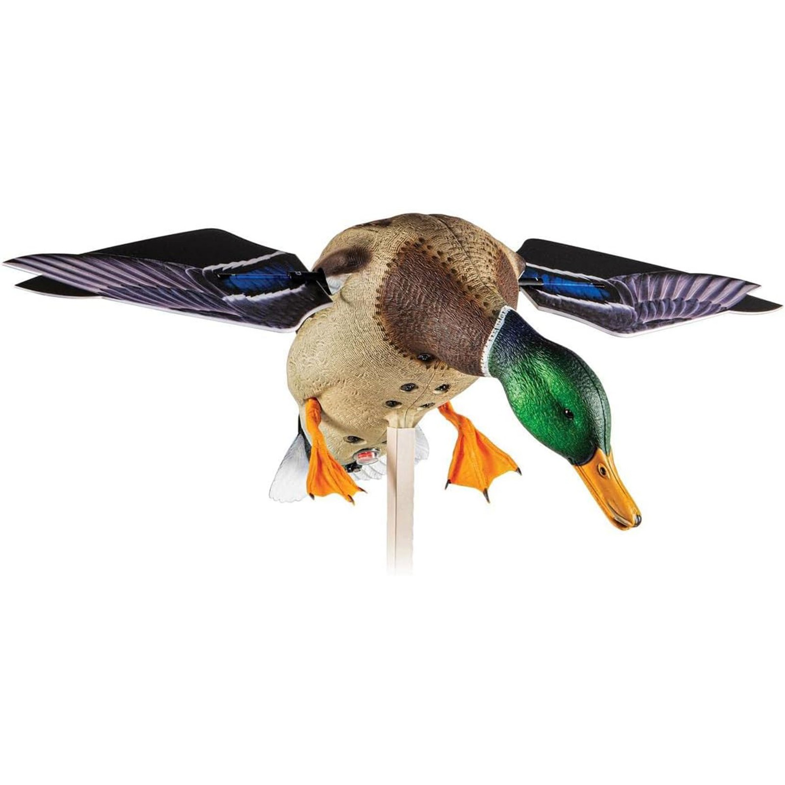 Avian X PowerFlight Mallard Weatherproof Realistic Spin Wing Duck Decoy, 2 Pack