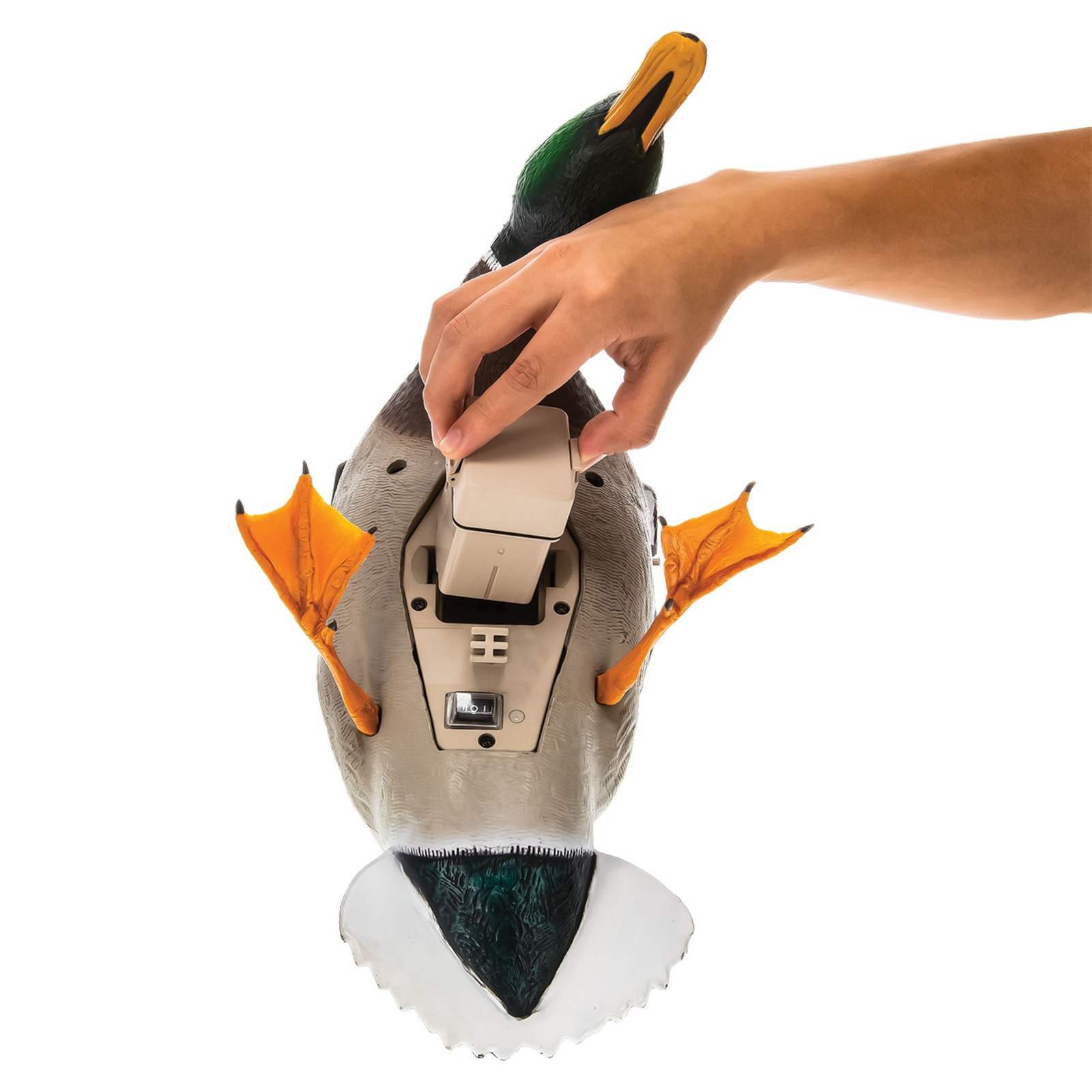Avian X PowerFlight Mallard Weatherproof Realistic Spin Wing Duck Decoy, 2 Pack