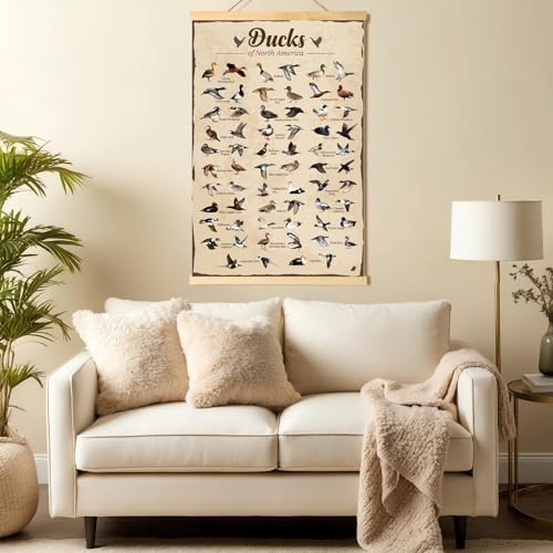 Duck Hunting Gifts for Men Type Of Duck Poster Duck Hunting Decor Mallard Ducks