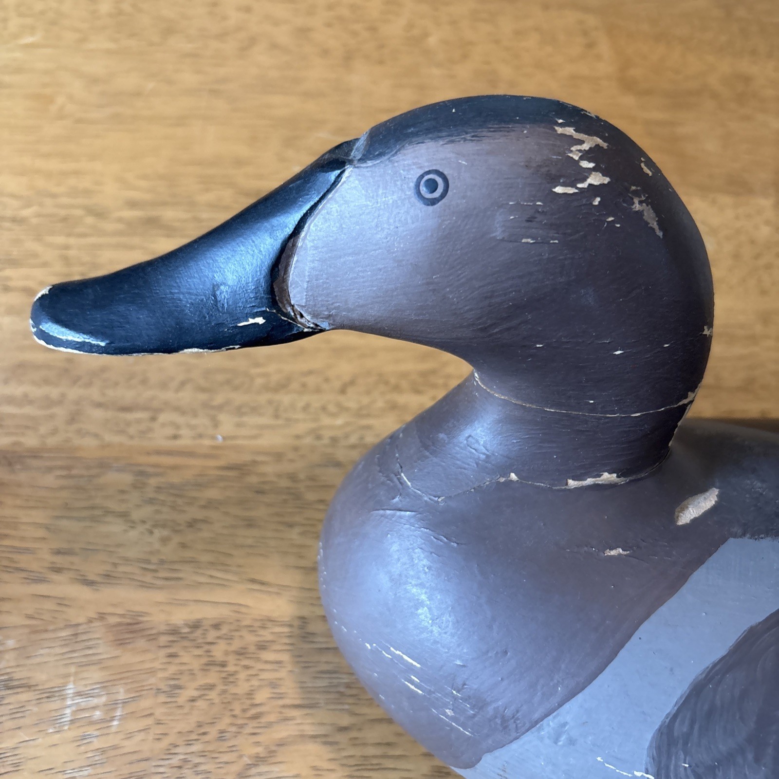 Canvasback Hen Duck Decoy Unsigned 17”