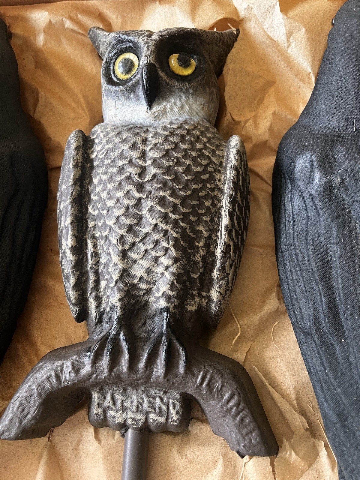 Vtg. Soules Swisher Decatur IL Paper Mache 2 Face Glass Eyes Owl Decoy Crow Kit