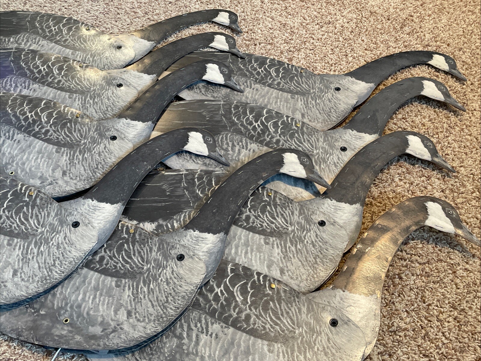 Vintage*Lot of 9 Carry Lite Canadian Goose Paper/Fiberboard Folding Decoy/Decoys